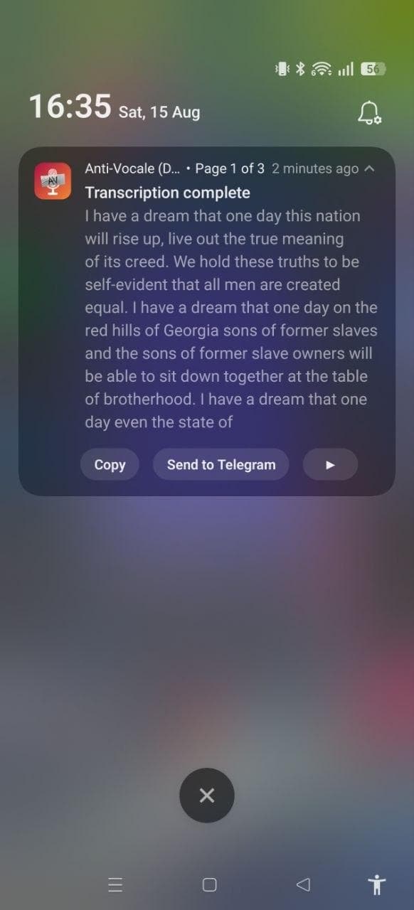 Anti-Vocale screenshot 4