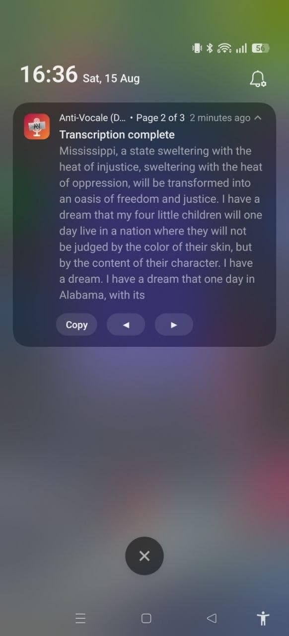 Anti-Vocale screenshot 6