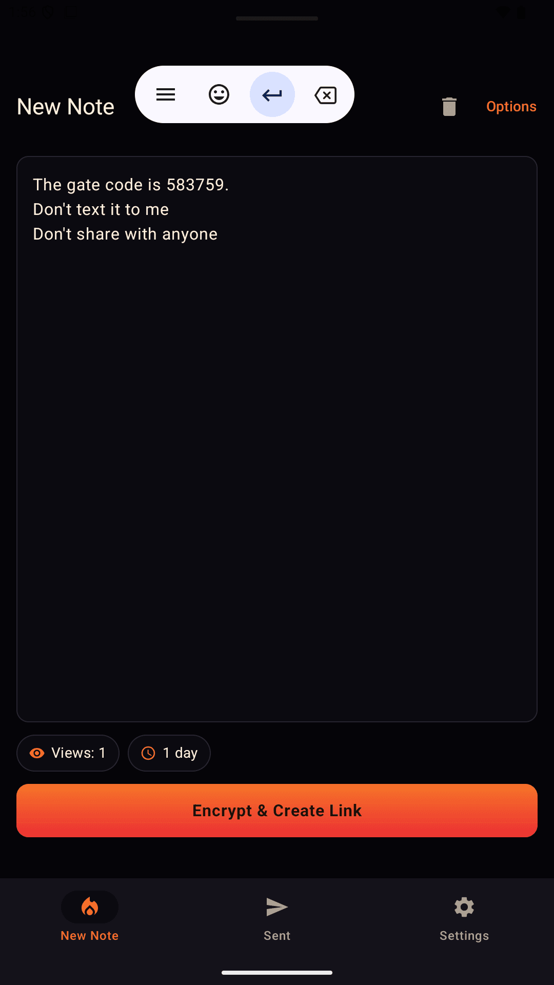BurnPony screenshot 1