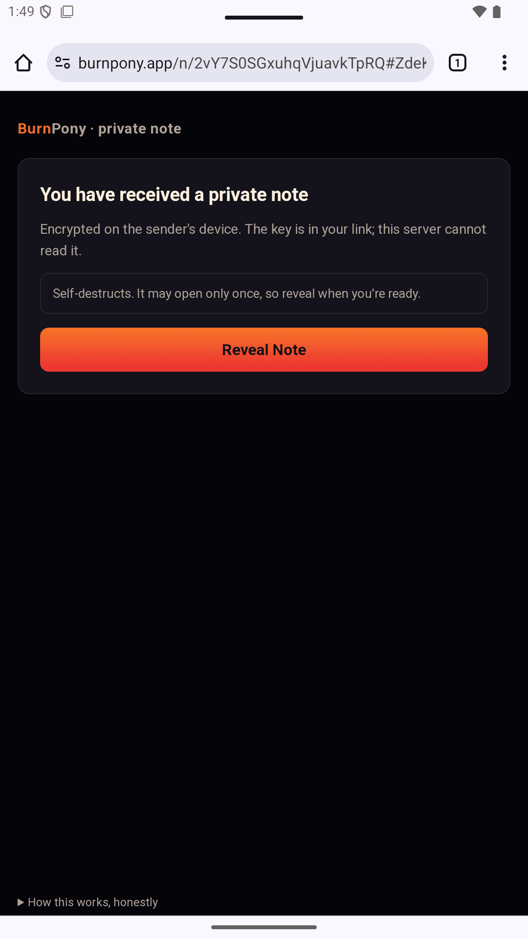BurnPony screenshot 5