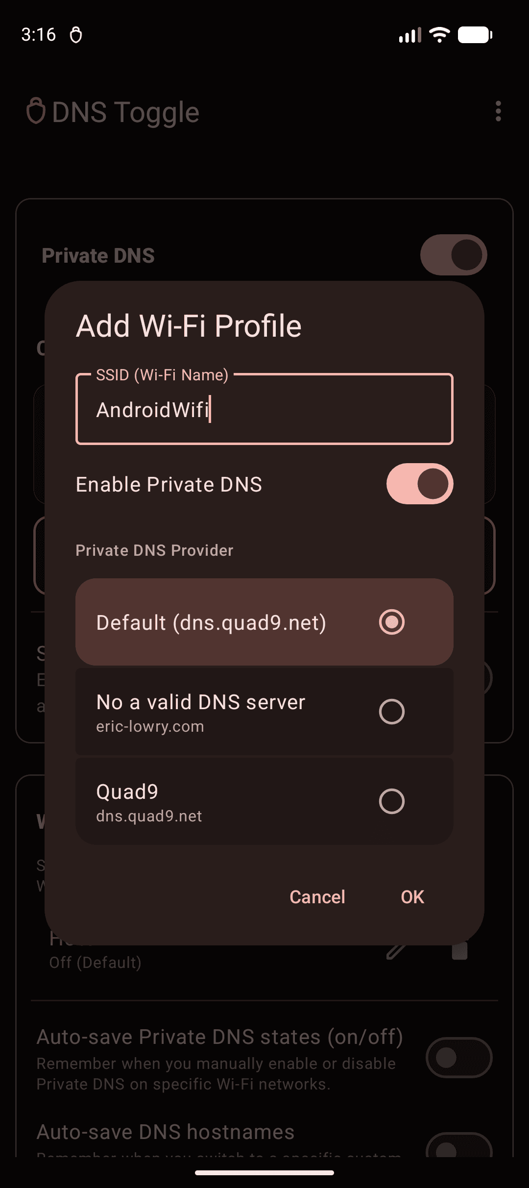 DNS Toggle screenshot 4