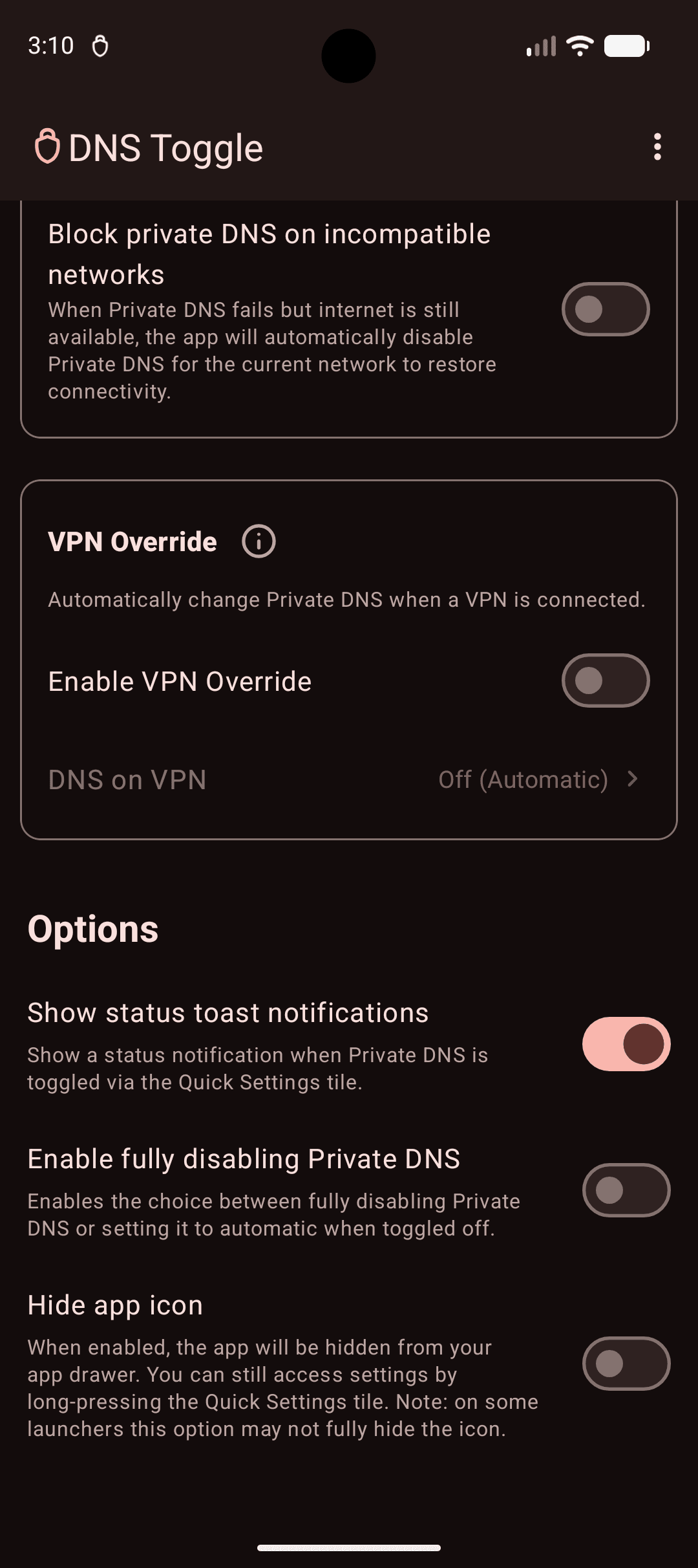 DNS Toggle screenshot 5