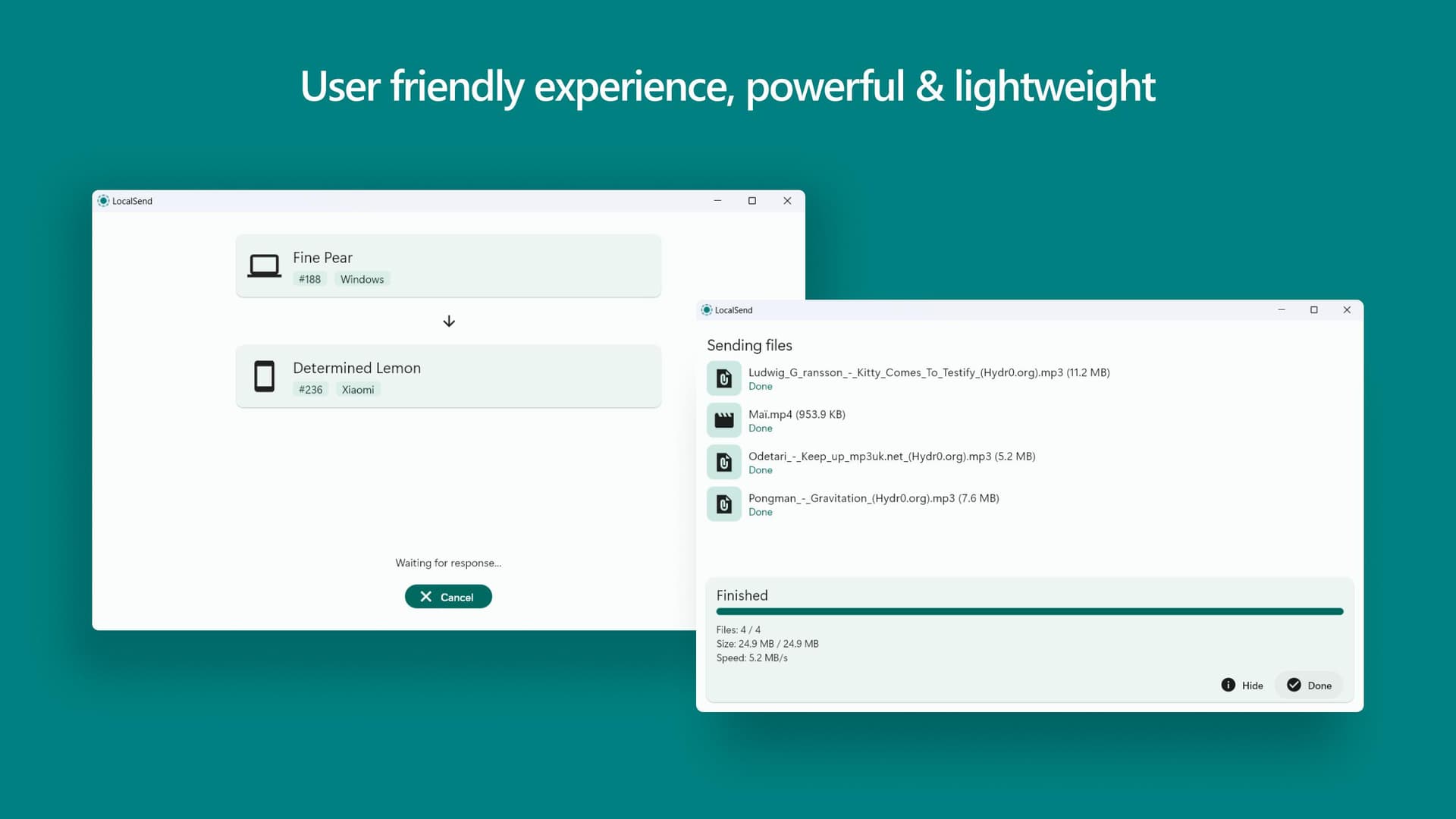 LocalSend screenshot 8